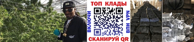 Купить наркотики Шатура Гашиш  Конопля  А ПВП  Меф  КОКАИН 